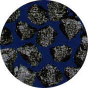 cbn850n.jpg (23800 �ֹ�(ji��))