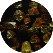 cbn900.jpg (20555 �ֹ�(ji��))