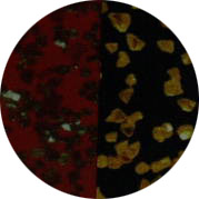 cbnm800.jpg (16881 �ֹ�(ji��))