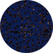 cbnm850.jpg (22329 �ֹ�(ji��))